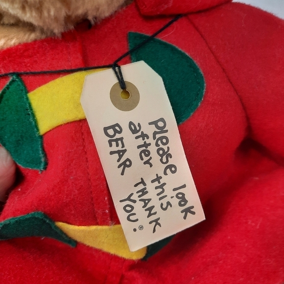 16'' Vintage Sears PADDINGTON BEAR Plush Toy Green Hat Red Coat Teddy - Picture 5 of 10